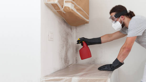 Professional Bathroom Mold Removal technician working in Williamsburg, MI